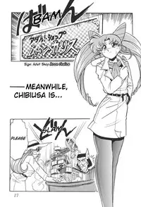 (C53) [Thirty Saver Street 2D Shooting (Maki Hideto, Sawara Kazumitsu)] Silent Saturn 4 (Sailor Moon) [English]