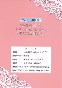 (C88) [Gerupin (Minazuki Juuzou)] Yoru no Grand Princess | The Grand Princess of the Night (Go! Princess PreCure) [Chinese] [沒有漢化]