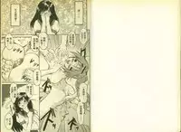 草莓100分 15
