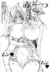 [Mimasaka Direct (Mimasaka Hideaki)] Affection (Sonic Soldier Borgman)