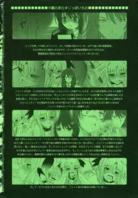 (C76) [DIEPPE FACTORY Darkside (Alpine)] FATE FIRE WITH FIRE 3 (Mahou Shoujo Lyrical Nanoha)