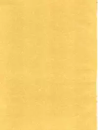 [如雲堂 (Araizumi Rui)] UP