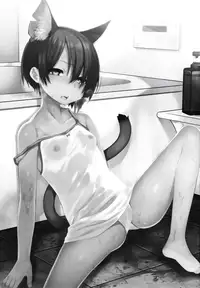 (C90) [Himitsukessya Usagi (Dancyo)] CUSTOMLOVECATs 3rd