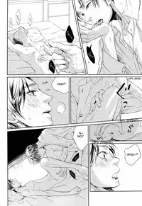 (FALL OF WALL2) [Aoboshi (Hatoji)] Sono sen o koeru na | Don't Cross That Line (Shingeki no Kyojin) [English] [Cocobees]