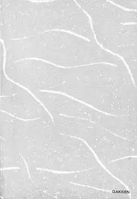 [Urushihara Satoshi] Chirality - To The Promised Land Vol.3 (Complete) [English]