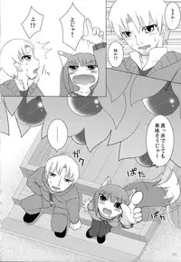 (Mimiket 18) [Cat Expert (Nekousa)] Wacchi Ecchi (Spice and Wolf)