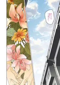 [Ogiara] Nibiiro Planetarium