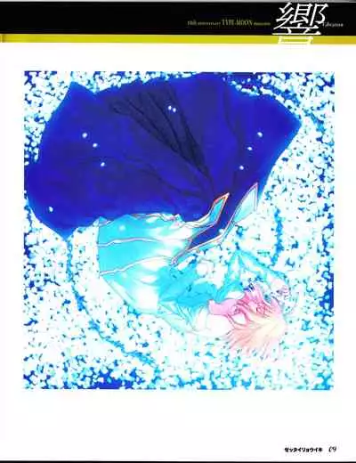 zettairyouiki TYPE-MOON