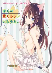 [Komiya Yuuta] Boku no Aikurushii Imouto. 3 (Web Manga Bangaichi Vol. 15) [Chinese] [虎斑木菟漢化]