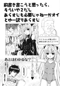 (C74) [Studio Wallaby (Shizaki Masayuki)] Ecchii no wa Suki Desu ka? 2 (To LOVE-Ru)