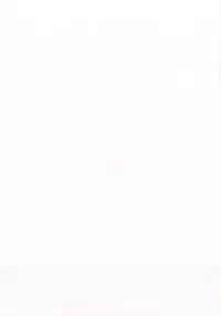 [D'ERLANGER (Yamazaki Show)] Kasumi da Yori 2 Tsuduri (Dead or Alive)