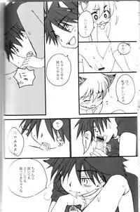 Peach Drop- Arco Iris