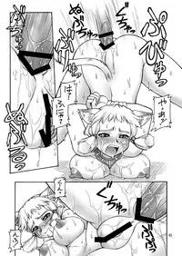 [Jack-O'-lantern (Ebifly, Neriwasabi)] Niji no Saku Basho (Final Fantasy XI) [Digital]