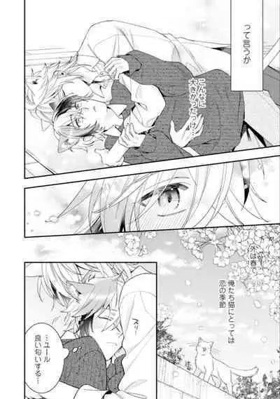 High Spec Danshi ni Natsukareteimasu