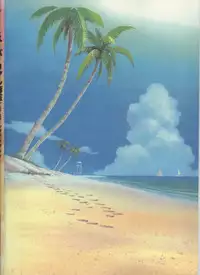 Super Real Mahjong Visual Fan Book Perfect Collection