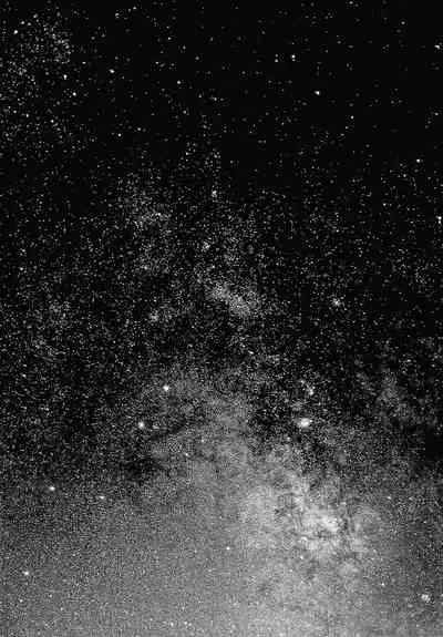 Haramase no Hoshi | Star of Stallion