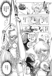 [BLACK DOG (Kuroinu Juu)] Submission Venus (Bishoujo Senshi Sailor Moon) [Chinese] [網上打飛機個人漢化]