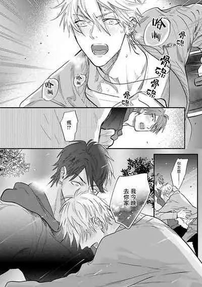 Burlesque Night | 艳舞荒诞夜