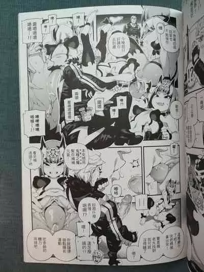 CHALDEA MANIA - Minamoto no Raikou | 迦勒底狂熱.源賴光