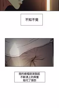 Domesticate the Housekeeper 调教家政妇 ch.1-10 (chinese)