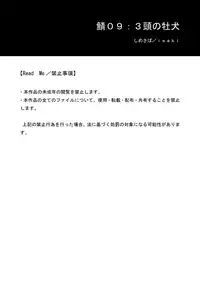 [Shimesaba (Isaki)] Saba 09: Santou no Osuinu | Saba 09: The Faces of 3 Male Dogs [English]