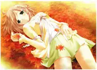 Canvas Visual Fan Book