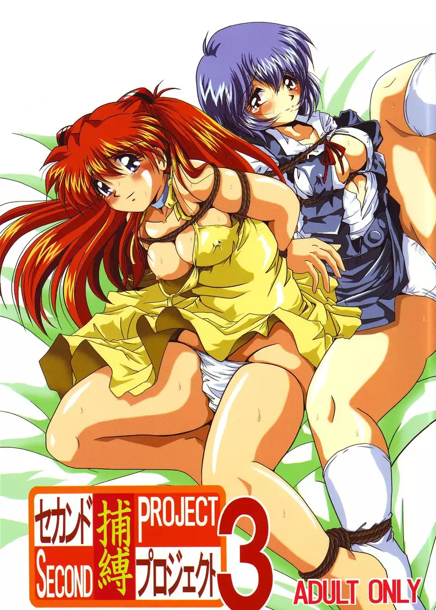 Second Hobaku Project 03