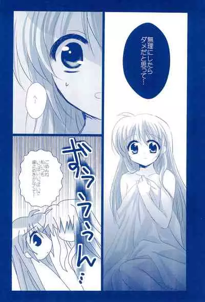 (C85) [Ameiro (Nanashiki)] Love Forever -NanoFei nano Sairoku-shuu 2- (Mahou Shoujo Lyrical Nanoha)