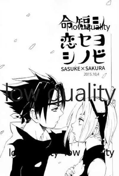 Inochi Mijikashi Koiseyo Shinobi Sairokushuu