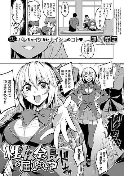 [ShiBi] Succubus Company [Digital]