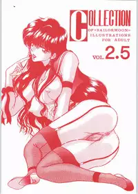 (C55) [ENERGYA (Roshiya No Dassouhei)] COLLECTION OF -SAILORMOON- ILLUSTRATIONS FOR ADULT Vol.2 (Bishoujo Senshi Sailor Moon)