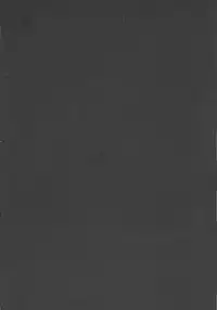 (C90) [Yokohama Junky (Makari Tohru)] Solo Hunter-tachi no Seitai (Monster Hunter) [Chinese] [中国翻訳] [VK1062喵&萌紋 漢化]