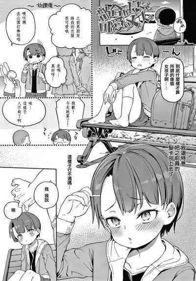 Tsugou ga Yokute Kawaii Mesu.