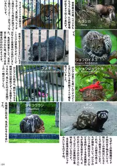 may Kemono Friends Thre Goudoushi 2