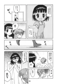 (C61) [Shinohara Heavy Industry (Various)] FRUKET. (Fruits Basket)