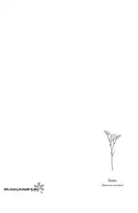 [Arai Yoshimi] Afurete Shimau - My heart is overflowing. [English] [Pink Cherry Blossom Scans]