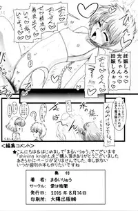 (C90) [Ai Wa Kurayami (Marui Ryuu)] Shining Knight (Magic Knight Rayearth)