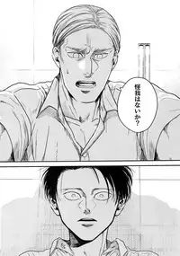 (Dai 17 Kai Hekigai Chousa Haku) [13 (Atai)] Nisemono Hero (Shingeki no Kyojin)