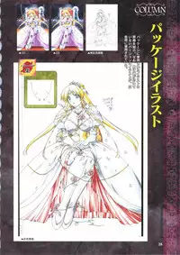 Elfeana ~ Yoru e to Urareta Oukoku de... ~ original artworks