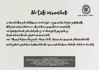 The work of the Insect Detective