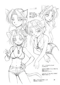 [Jack-O'-lantern (Ebifly, Neriwasabi)] Niji no Saku Basho (Final Fantasy XI) [Digital]