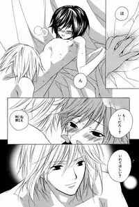 [Sakura Ashika] Kusuriyubi ni Himitsu no Koi