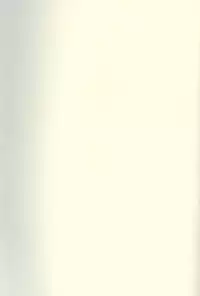 [White Rabbit (Inabai Mari)] ONE (Yu-Gi-Oh!)