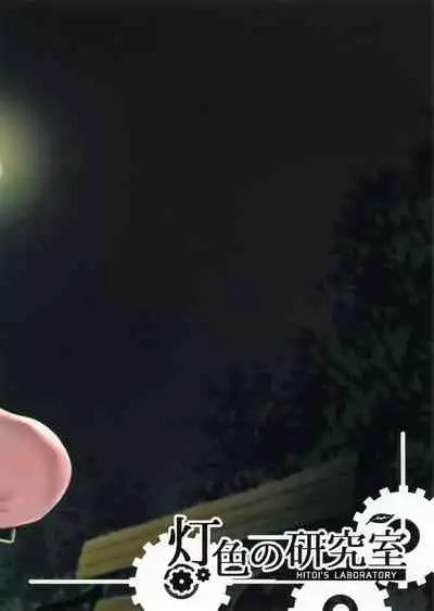 Ochiba Nikki