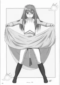 (C71) [twinzito (Tsukiyoshi Hiroki, Naruse Hirofumi, Kikuta)] OK Zwei (Mai Otome)