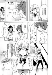 (C91) [TORA MACHINE (Kasukabe Taro)] Mezase! Rakuen Keikaku Vol. 2 (To LOVE-Ru) [Chinese] [脸肿汉化组]