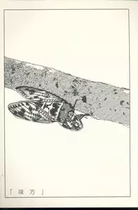 [Yamamoto Naoki] TV Bakari Miteru to Baka ni Naru