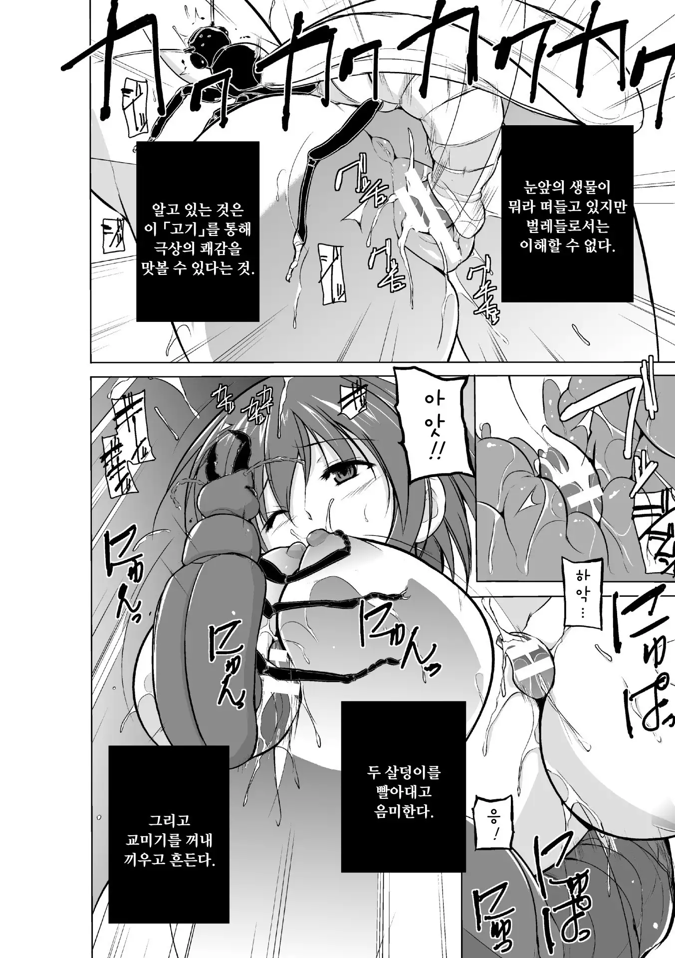 Mushi Asobi | 벌레유희