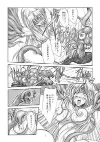 聖王妃 エルレイン(田宮秋人) Princess St