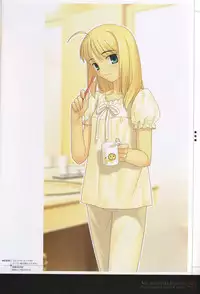 [Type-Moon] Fate/complete material I - Art material.